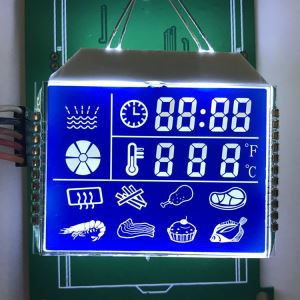 블루 세그먼트 LCD
